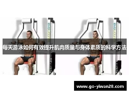 每天游泳如何有效提升肌肉质量与身体素质的科学方法