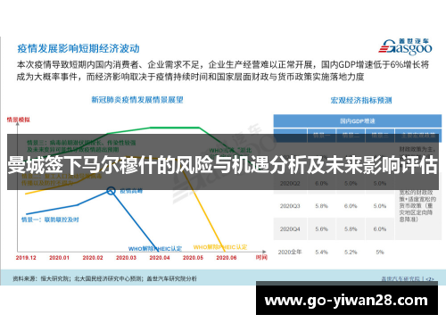 曼城签下马尔穆什的风险与机遇分析及未来影响评估