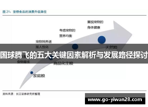 国球腾飞的五大关键因素解析与发展路径探讨