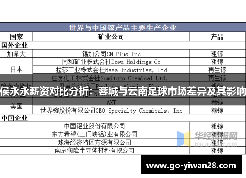 侯永永薪资对比分析：蓉城与云南足球市场差异及其影响