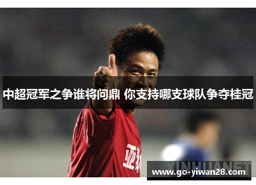 中超冠军之争谁将问鼎 你支持哪支球队争夺桂冠