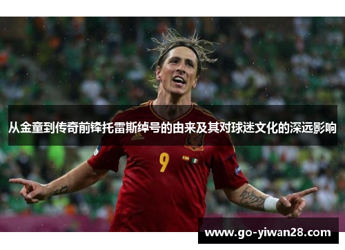 从金童到传奇前锋托雷斯绰号的由来及其对球迷文化的深远影响 从金童到传奇前锋托雷斯绰号的由来及其对球迷文化的深远影响