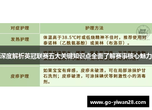 深度解析英冠联赛五大关键知识点全面了解赛事核心魅力