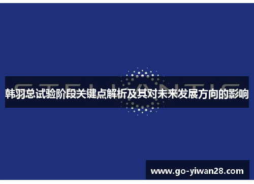 韩羽总试验阶段关键点解析及其对未来发展方向的影响