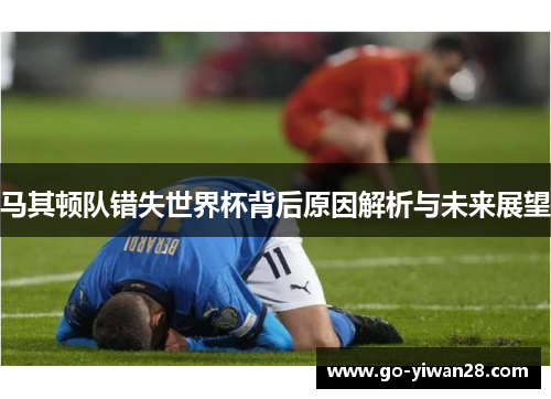 马其顿队错失世界杯背后原因解析与未来展望